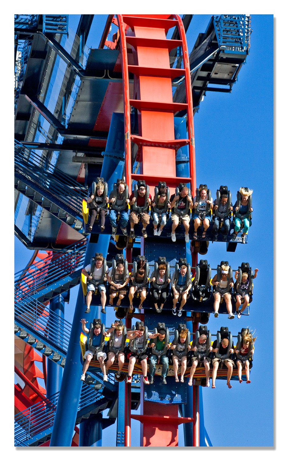 Sheikra Roller Coaster Busch Gardens 2011